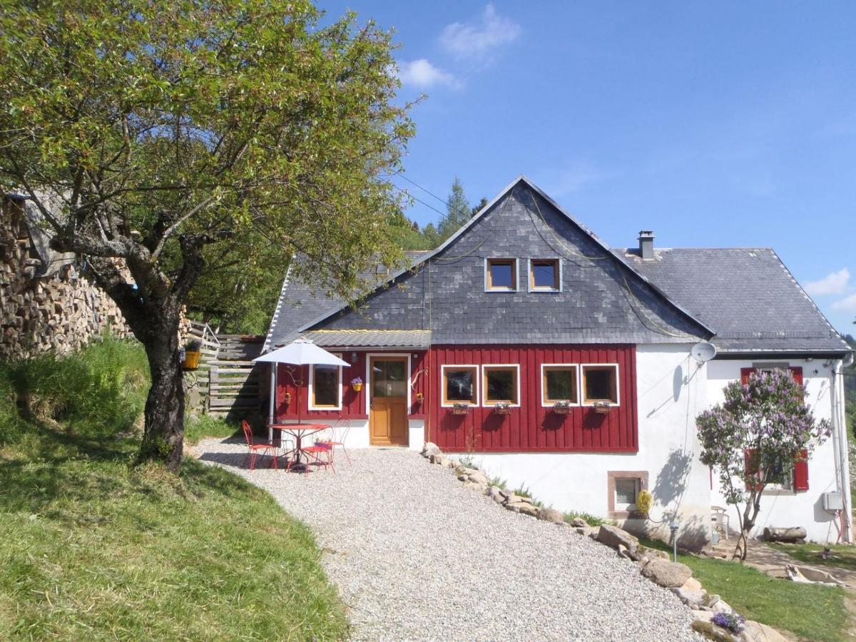 Villa La Petite Finlande Orbey Esterno foto