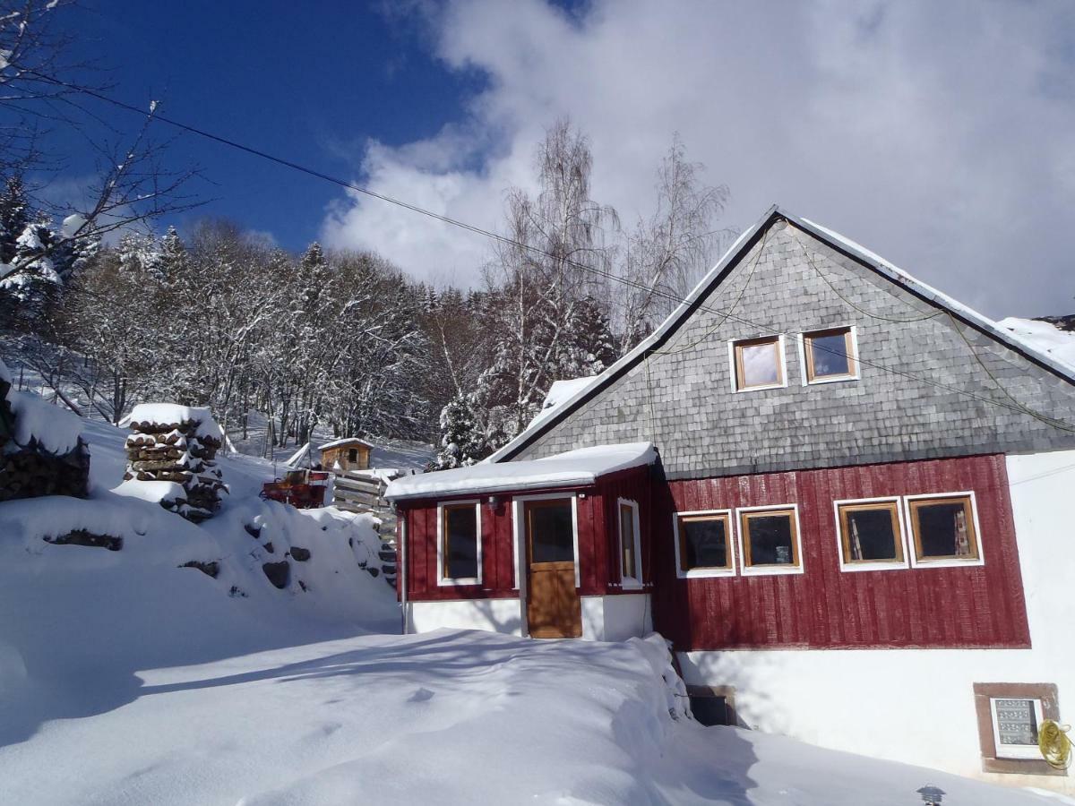 Villa La Petite Finlande Orbey Esterno foto